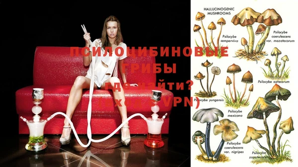 эйфоретик Алексеевка