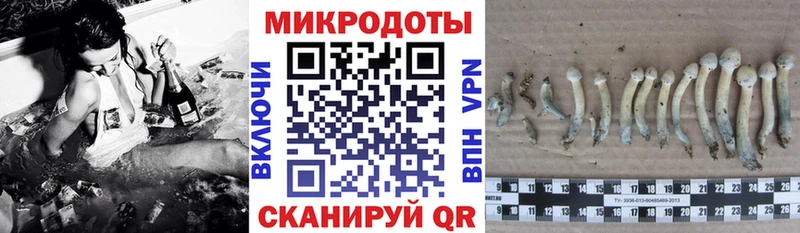 Галлюциногенные грибы ЛСД  цены   Ак-Довурак 